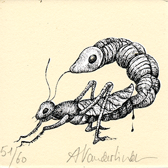 insectes 3